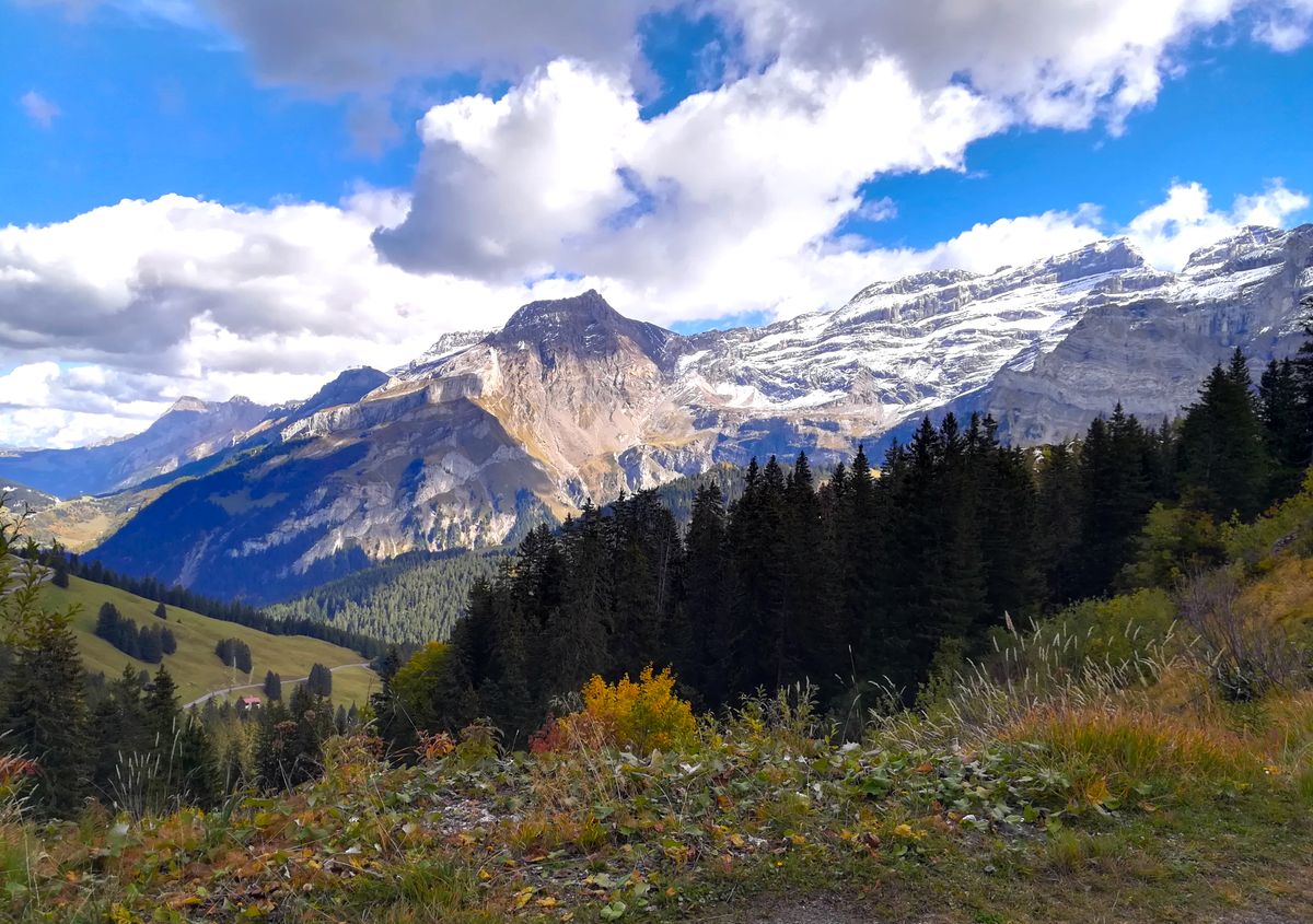 Swiss Alps panorama — Swiss quality has its price, and more than one way to pay it
